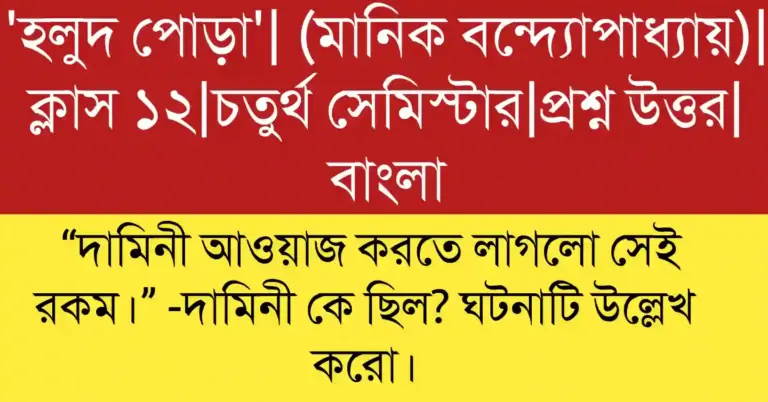 “দামিনী আওয়াজ করতে লাগলো সেই রকম।” -দামিনী কে ছিল? ঘটনাটি উল্লেখ করো বিশ্লেষণ