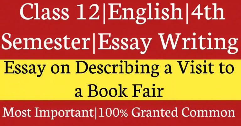 Essay on Describing a Visit to a Book Fair for Class 12 HS with academic writing guidance and HS Essay writing preparation