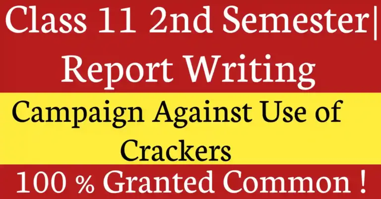 Report Writing on Campaign Against the Use of Crackers During Diwali school awareness programme