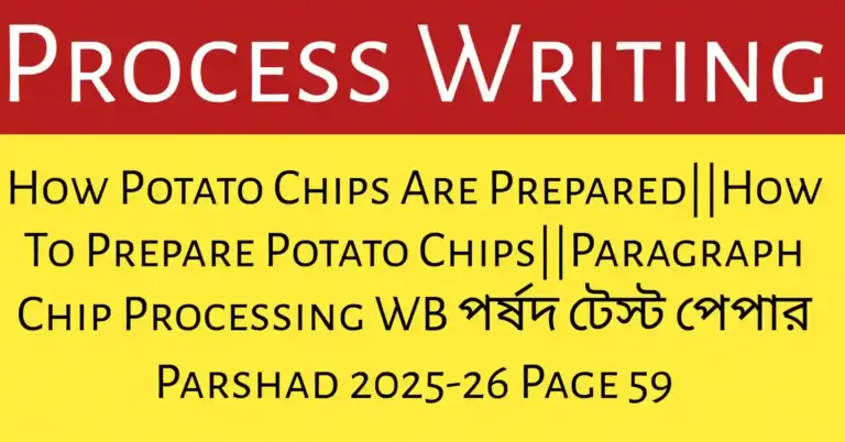 How Potato Chips Are Prepared through sorting, cleaning, slicing, frying, adding salt, packing, and selling ready chips
